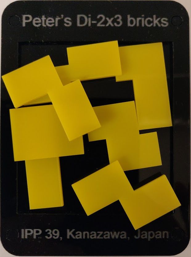 Photo of Di-2x3 bricks puzzle